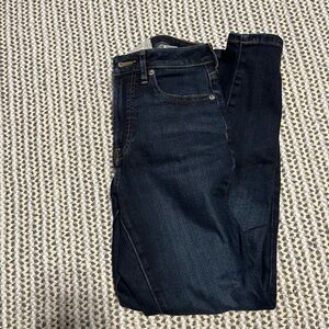 Everlane Dark Indigo Denim Jeans Curvy Fit